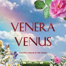 Venera Venus logo