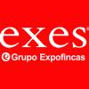 franquicia EXEs Grupo Expofincas