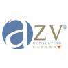 Logo AZV asesores